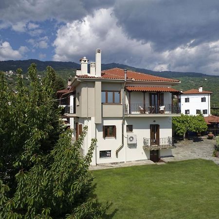 Iatrou House- Villa With Incredible View 포르테리아 외부 사진